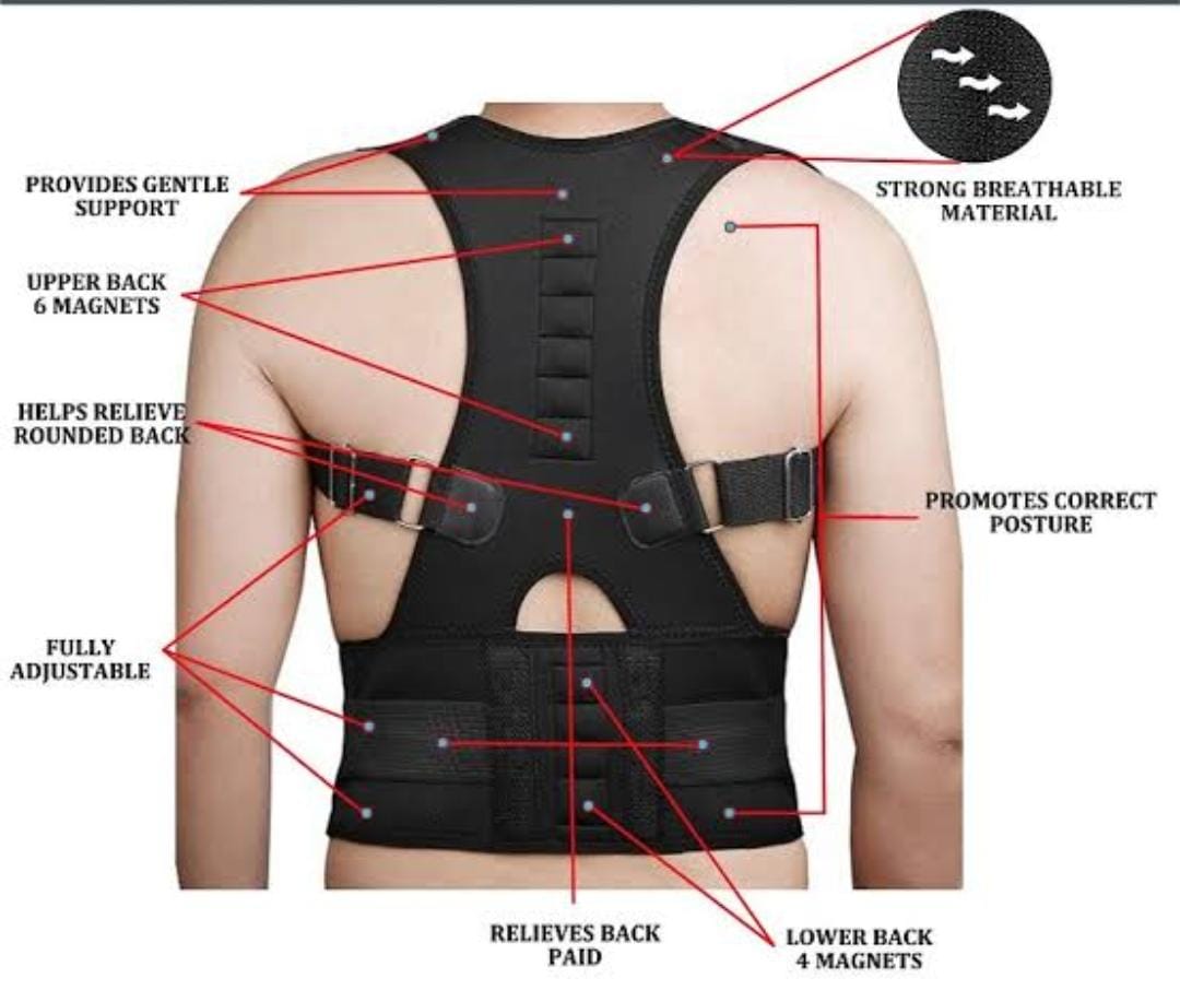 Posture Support Brace